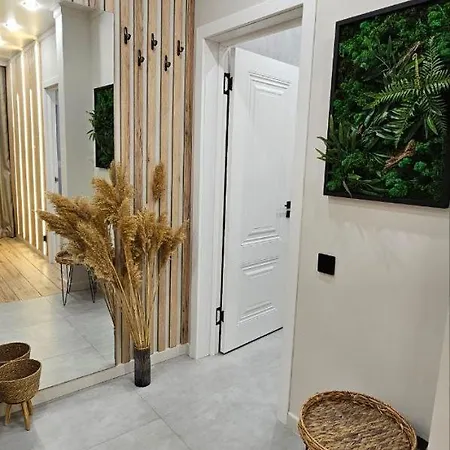 41 Новая Бохо Стиль Almaty Exterior photo